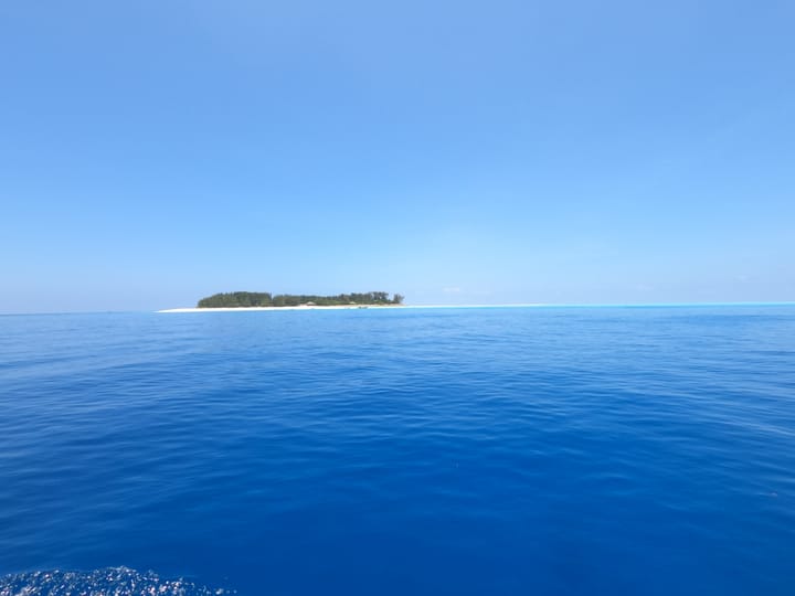 Zanzibar: consigli per vivere la vita “Hakuna Matata”