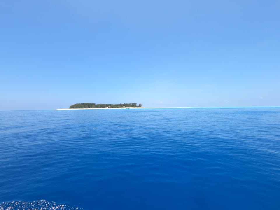Zanzibar Tips for That Hakuna Matata Life